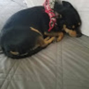 Meet your Posher, Maria